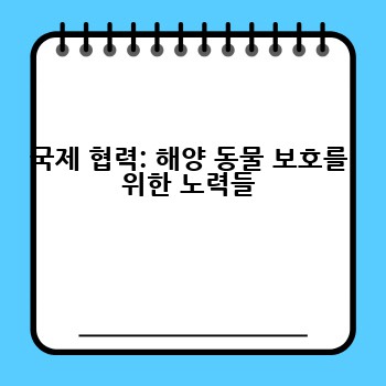 국제 협력: 해양 동물 보호를 위한 노력들
