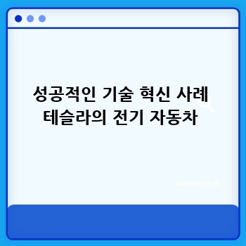 성공적인 기술 혁신 사례 테슬라의 전기 자동차