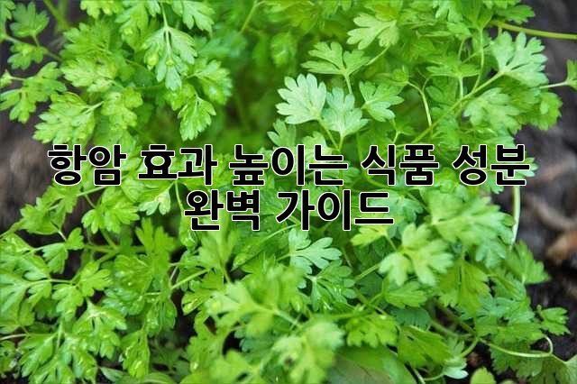 항암 효과 높이는 식품 성분 완벽 가이드