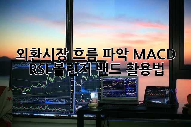 외환시장 흐름 파악: MACD, RSI, 볼린저 밴드 활용법