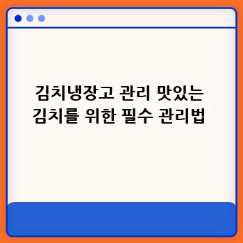 김치냉장고 관리 맛있는 김치를 위한 필수 관리법