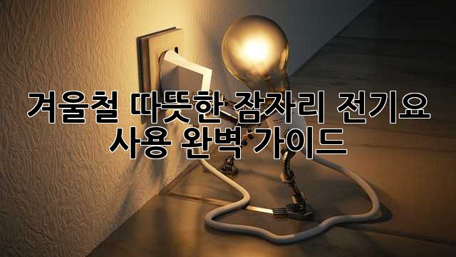 겨울철 따뜻한 잠자리, 전기요 사용 완벽 가이드!