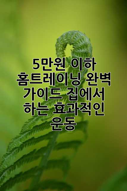 5만원 이하 홈트레이닝 완벽 가이드: 집에서 하는 효과적인 운동
