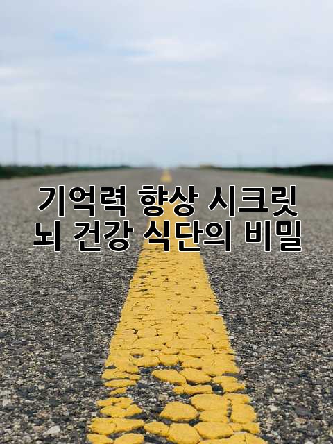 기억력 향상 시크릿: 뇌 건강 식단의 비밀