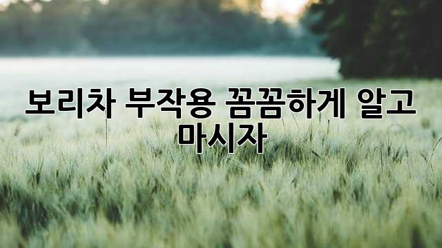 보리차 부작용? 꼼꼼하게 알고 마시자!