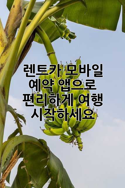 렌트카 모바일 예약: 앱으로 편리하게 여행 시작하세요!