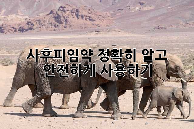 사후피임약, 정확히 알고 안전하게 사용하기