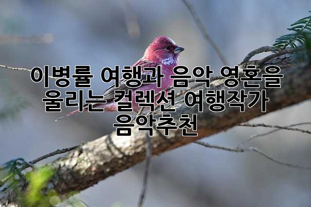 이병률 여행과 음악🎶: 영혼을 울리는 컬렉션 #여행작가 #음악추천