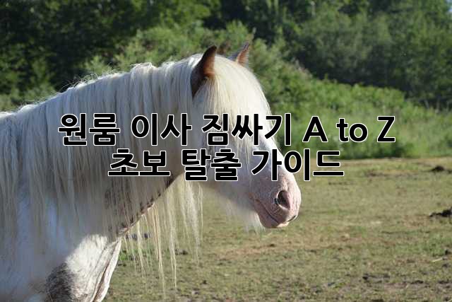 원룸 이사 짐싸기 A to Z 📦 초보 탈출 가이드 🚀