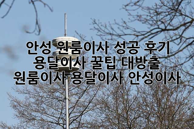 안성 원룸이사 성공 후기🏠 용달이사 꿀팁 대방출! #원룸이사 #용달이사 #안성이사